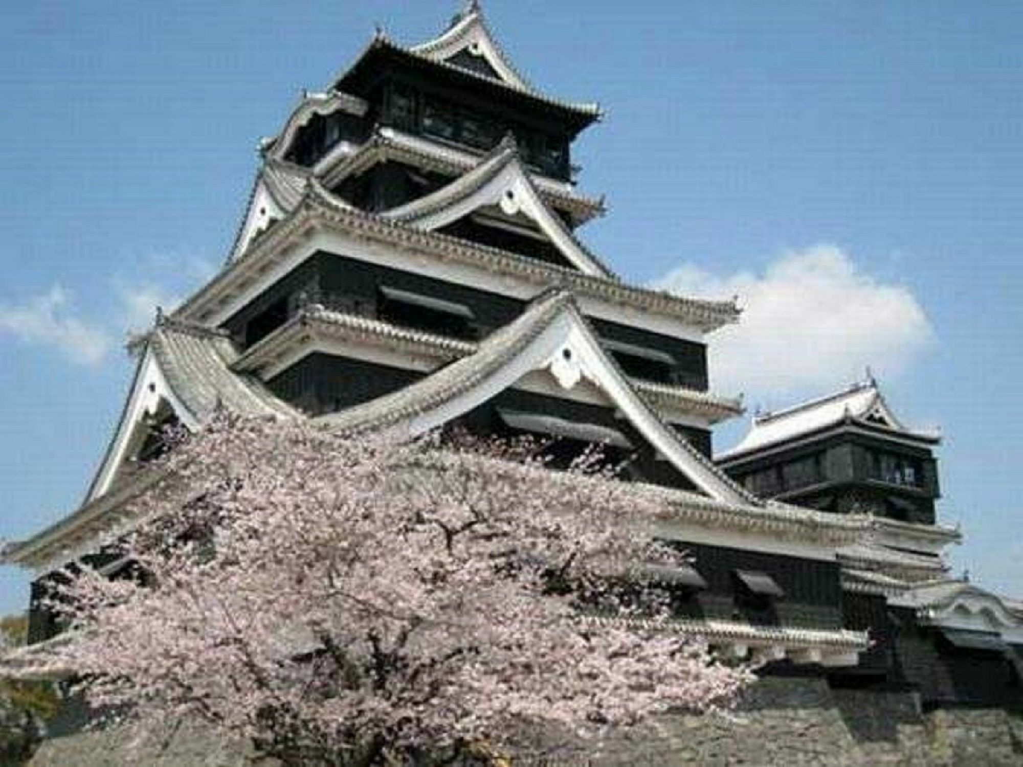 熊本樱町巴士站南apa酒店 酒店 3*